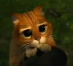 кошак Ю.gif
