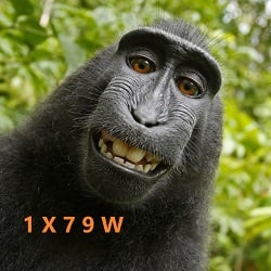 Selfie.jpg