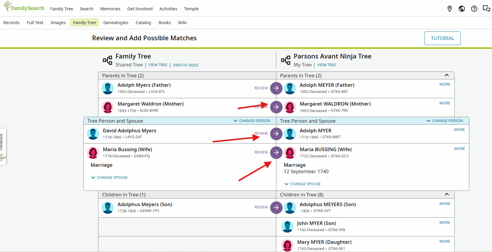 Updates Tree What is the process to update information between User Tree and ...