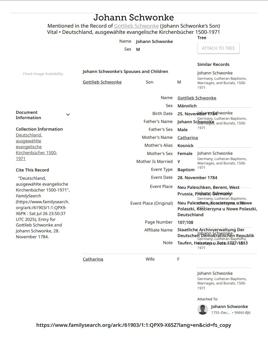 Fam Hist Rec print 2.jpg