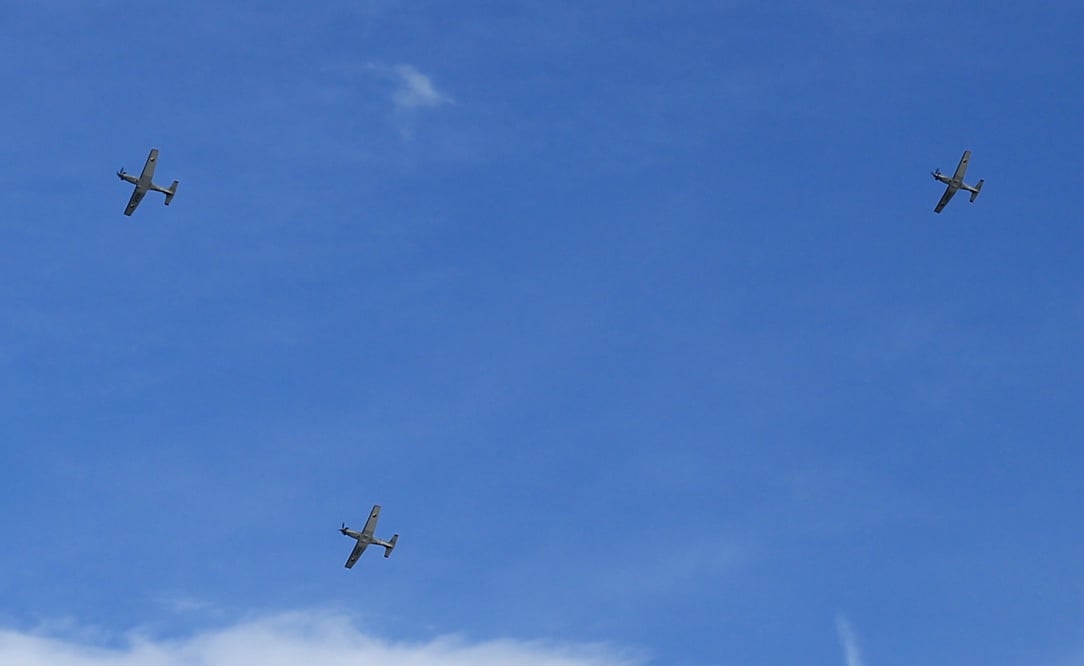 eagle-3.a.jpg