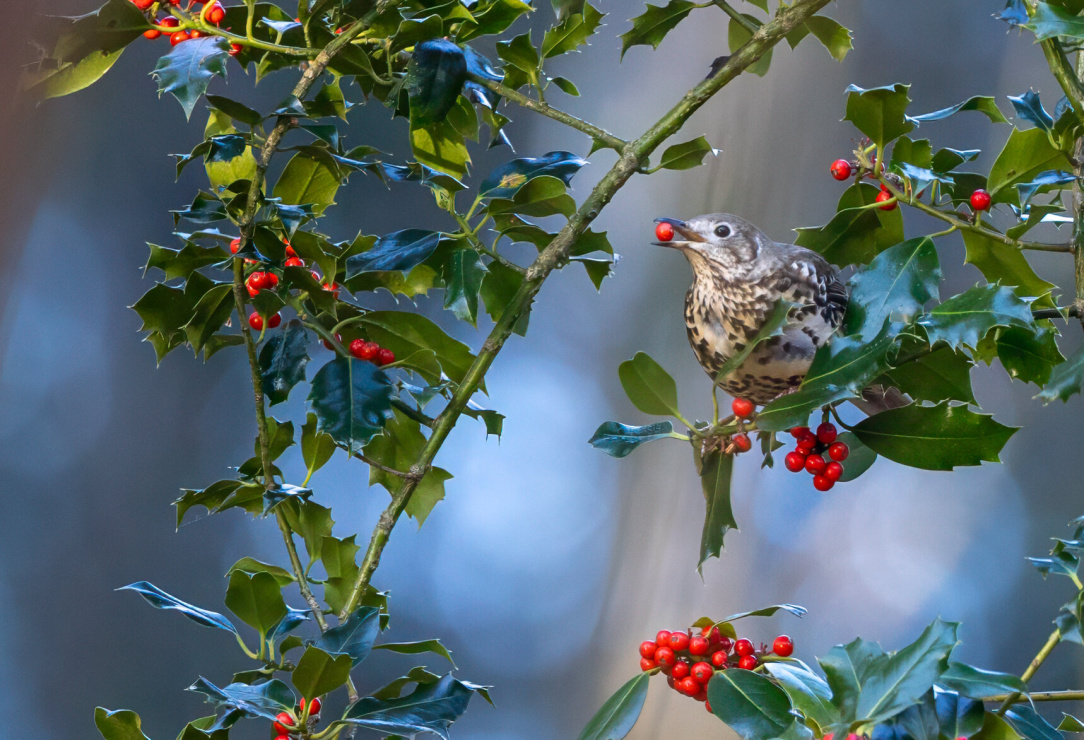 rsz_untitled-6 (49).jpg