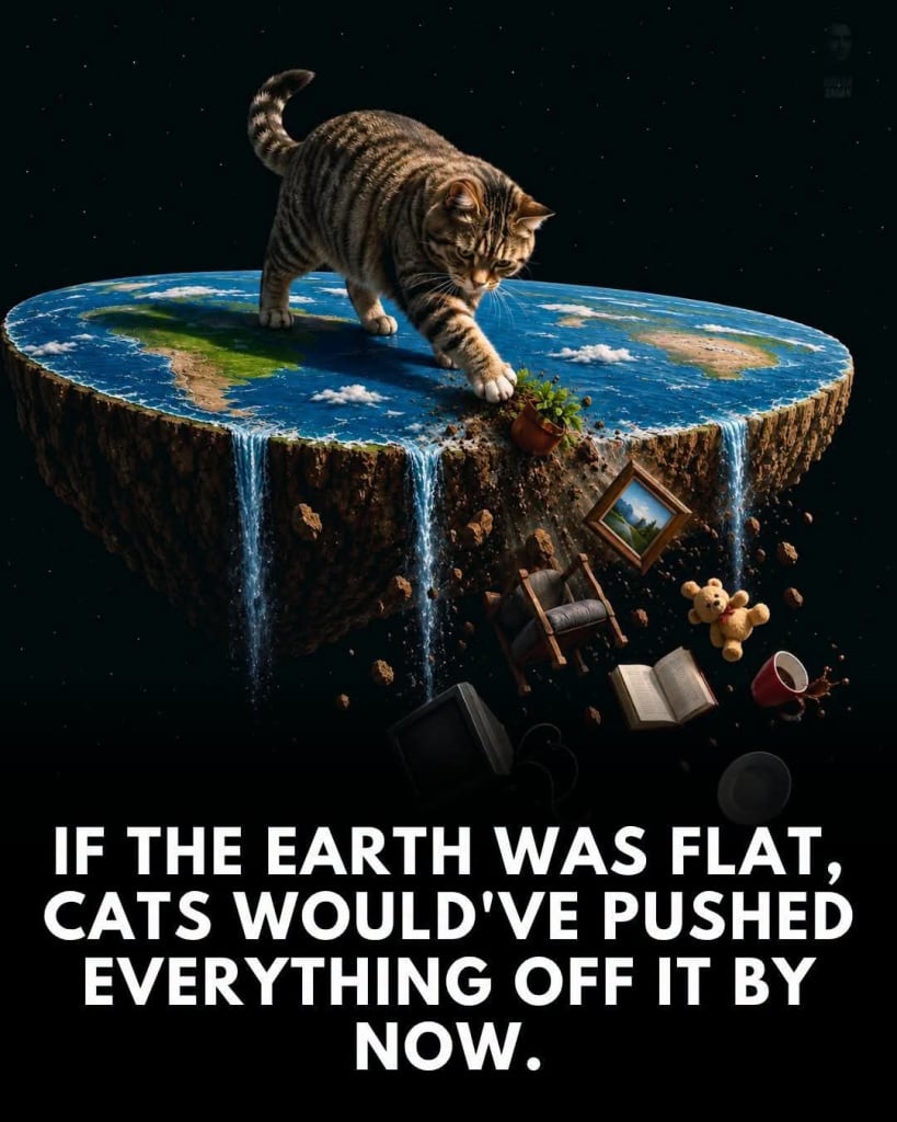 FB_IMG_1781366669912.jpg
