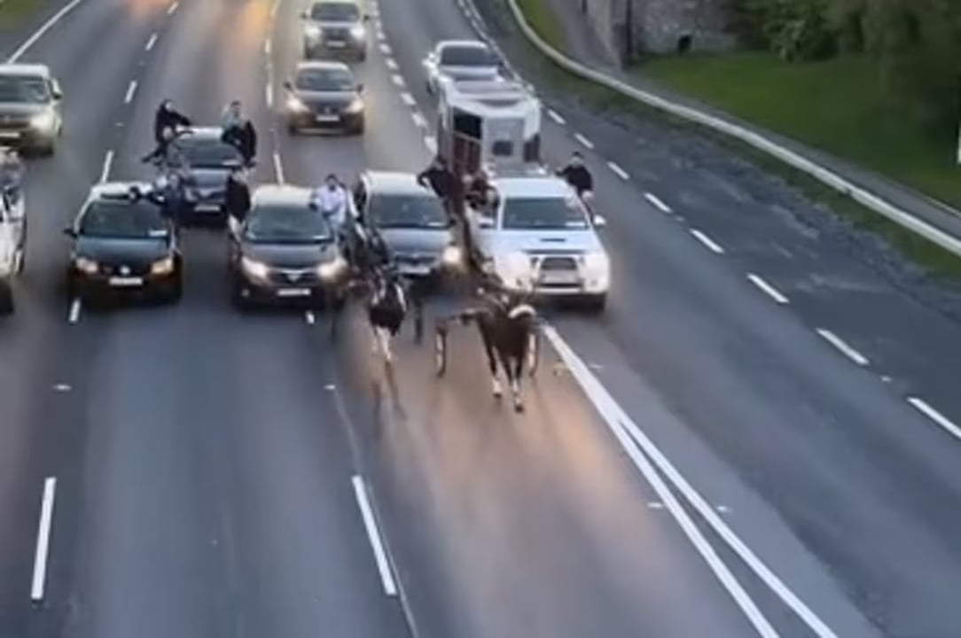 17820621959731921449592045759545.jpg