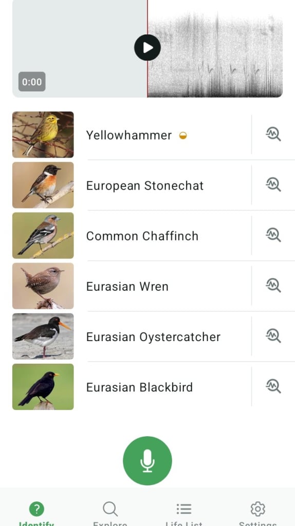 Screenshot_20260614-092104_Merlin Bird ID.jpg