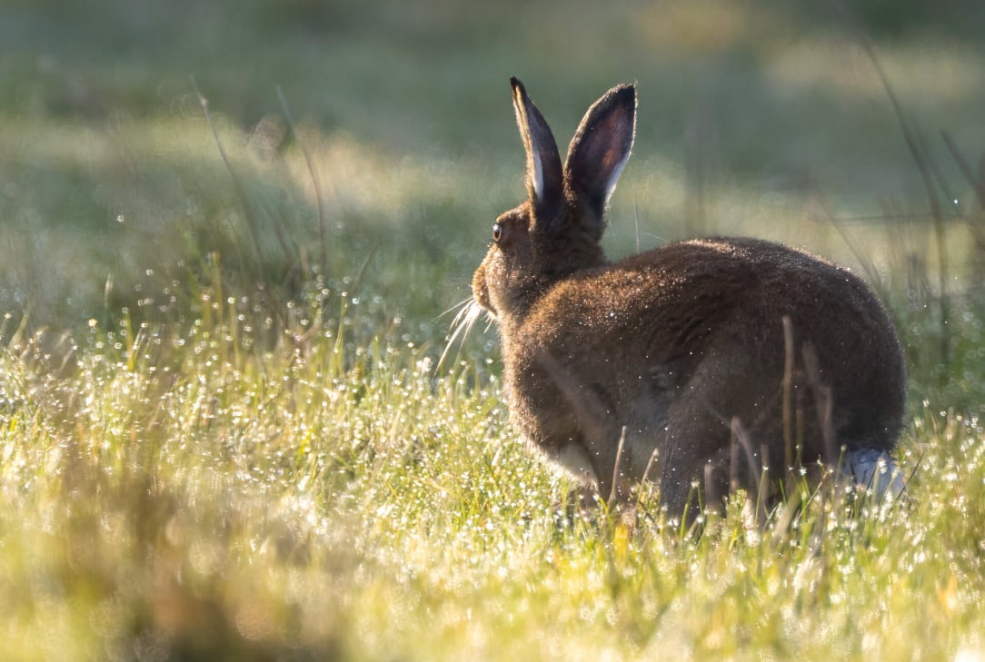 rsz_untitled-11 (56).jpg