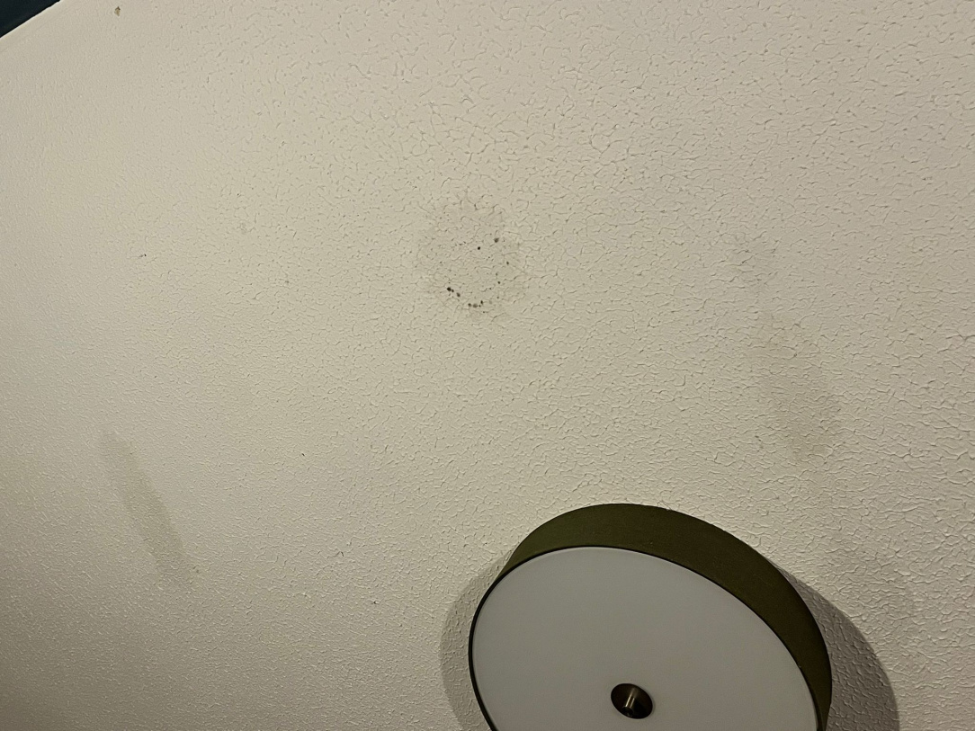 WhatsApp Image 2025-10-28 at 06.23.46.jpeg