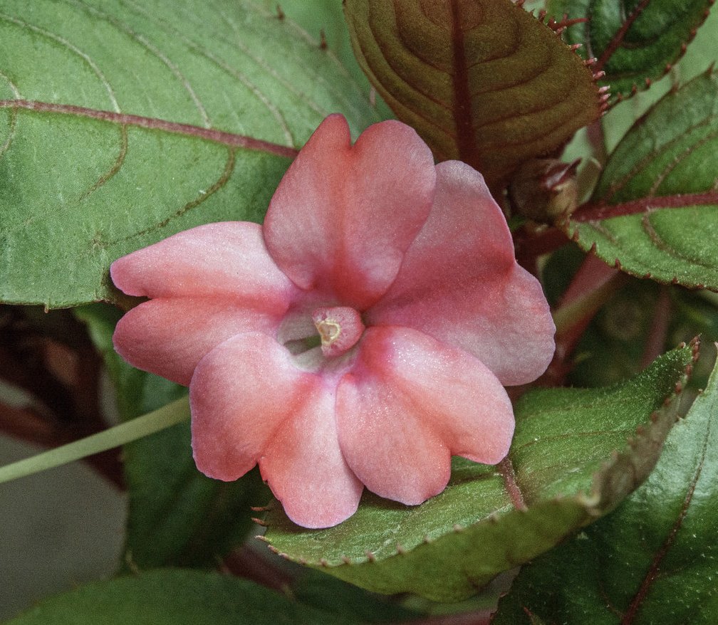 Знімок екрана 2025-10-17 о 17.03.37.png