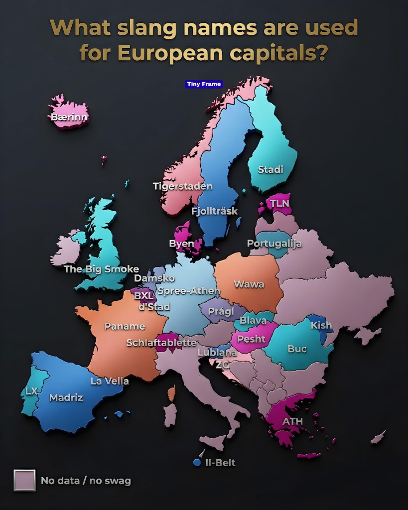 grafik.png