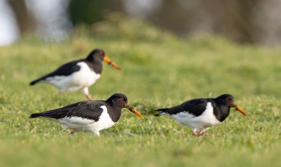 rsz_1untitled-5 (7).jpg