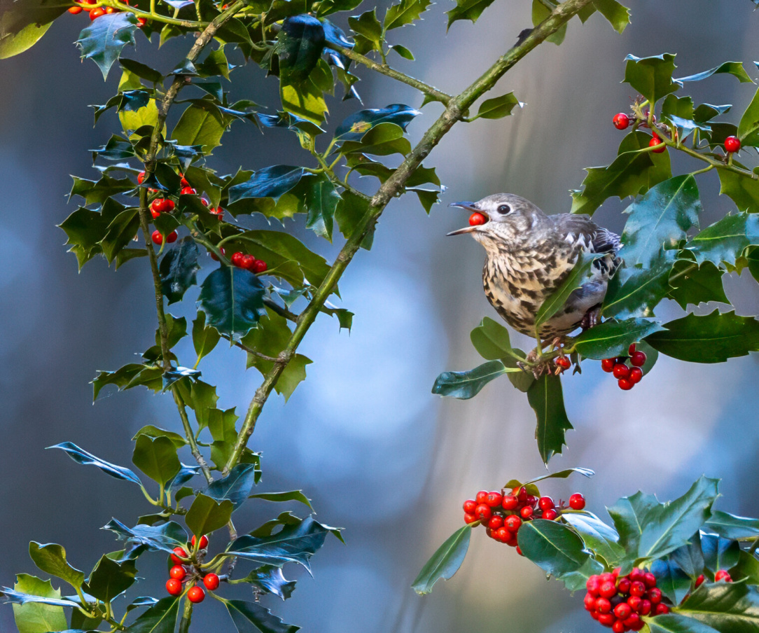 rsz_untitled-9 (42).jpg