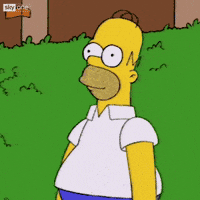 IMG_2193.gif