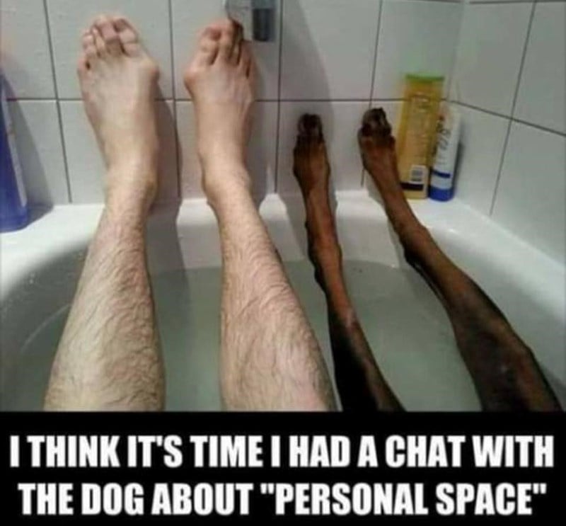 think-s-time-had-chat-with-dog-about-personal-space.jpeg