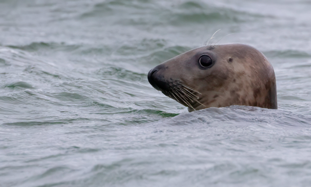 rsz_untitled-12 (38).jpg