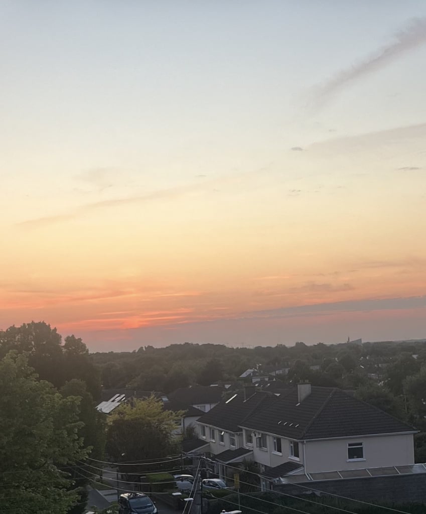 IMG_3270.jpeg