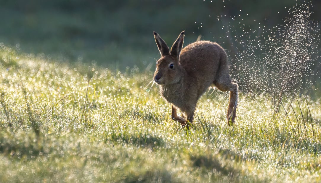 rsz_1untitled-15 (3).jpg