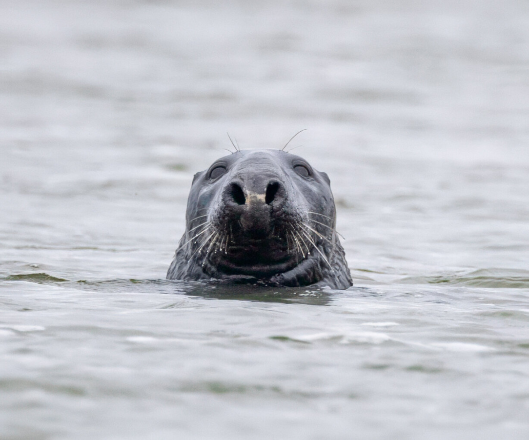 rsz_untitled-22 (26).jpg