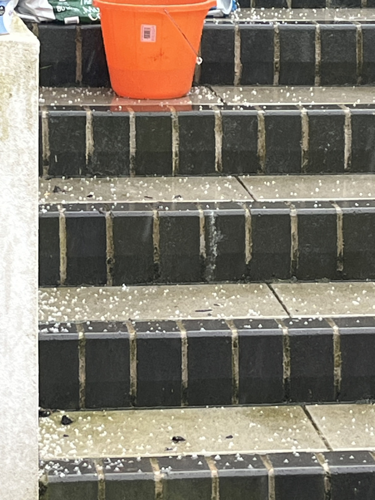 IMG_1067.jpeg