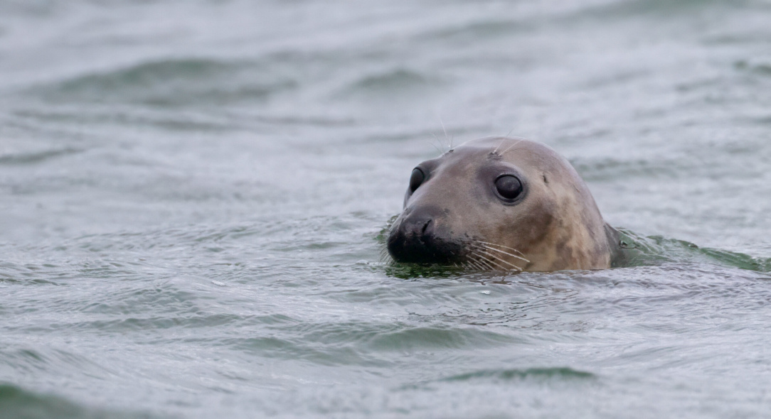 rsz_untitled-10 (51).jpg