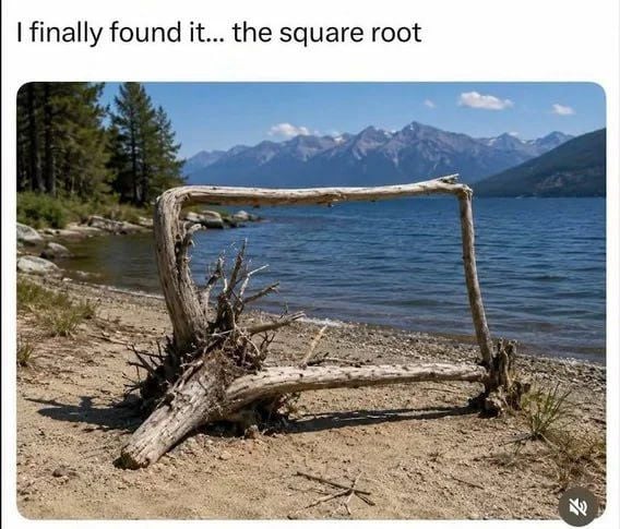 1000059952.jpg