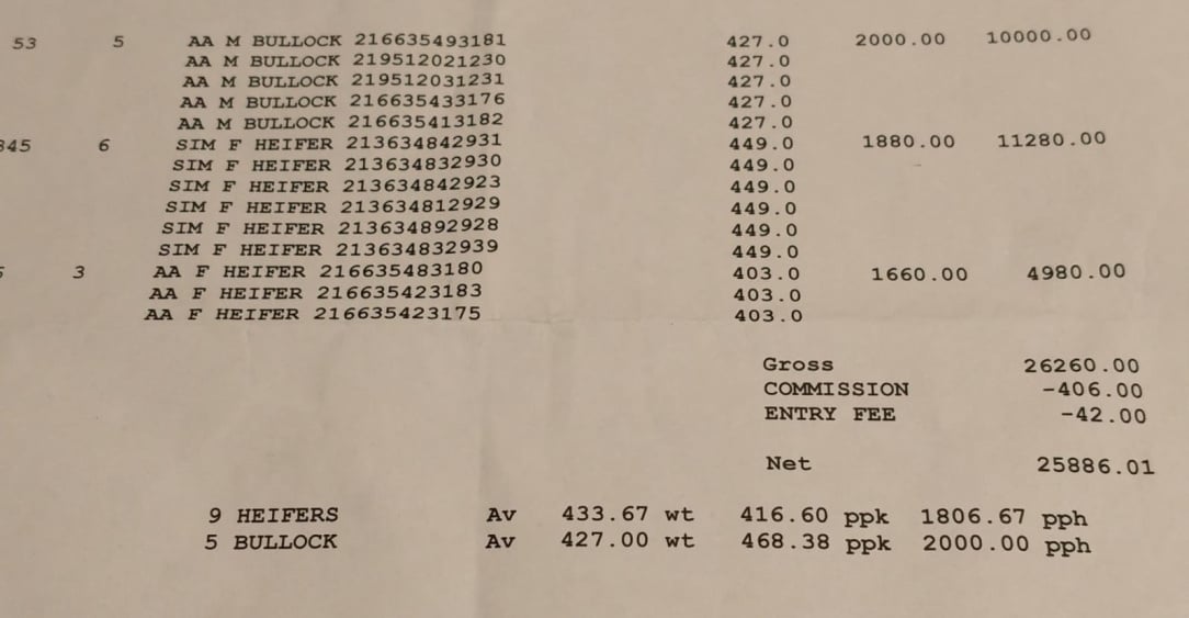 WhatsApp Image 2025-11-12 at 19.05.41.jpeg