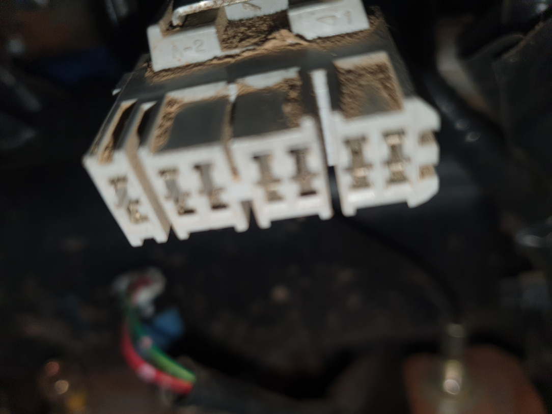 20241202_123439 (1).jpg