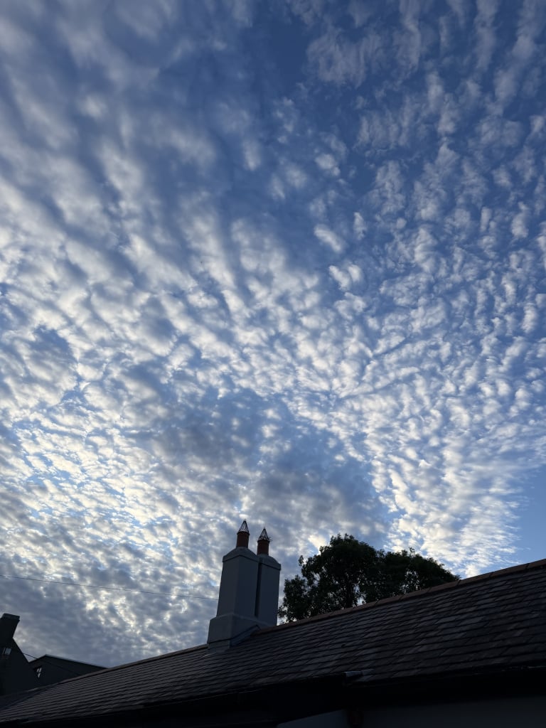 IMG_9639.jpeg