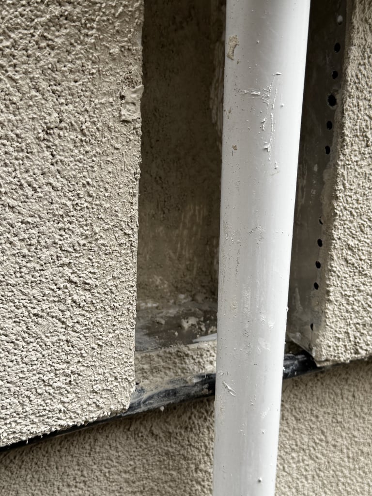 IMG_2328.jpeg
