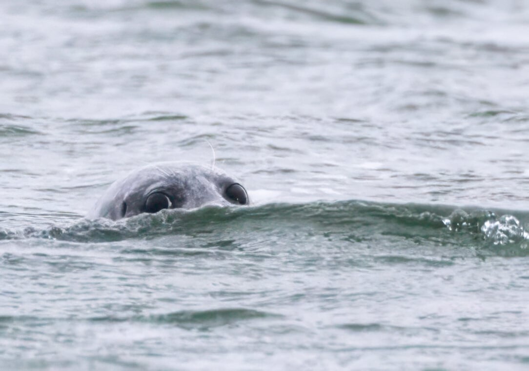 rsz_untitled-13 (33).jpg