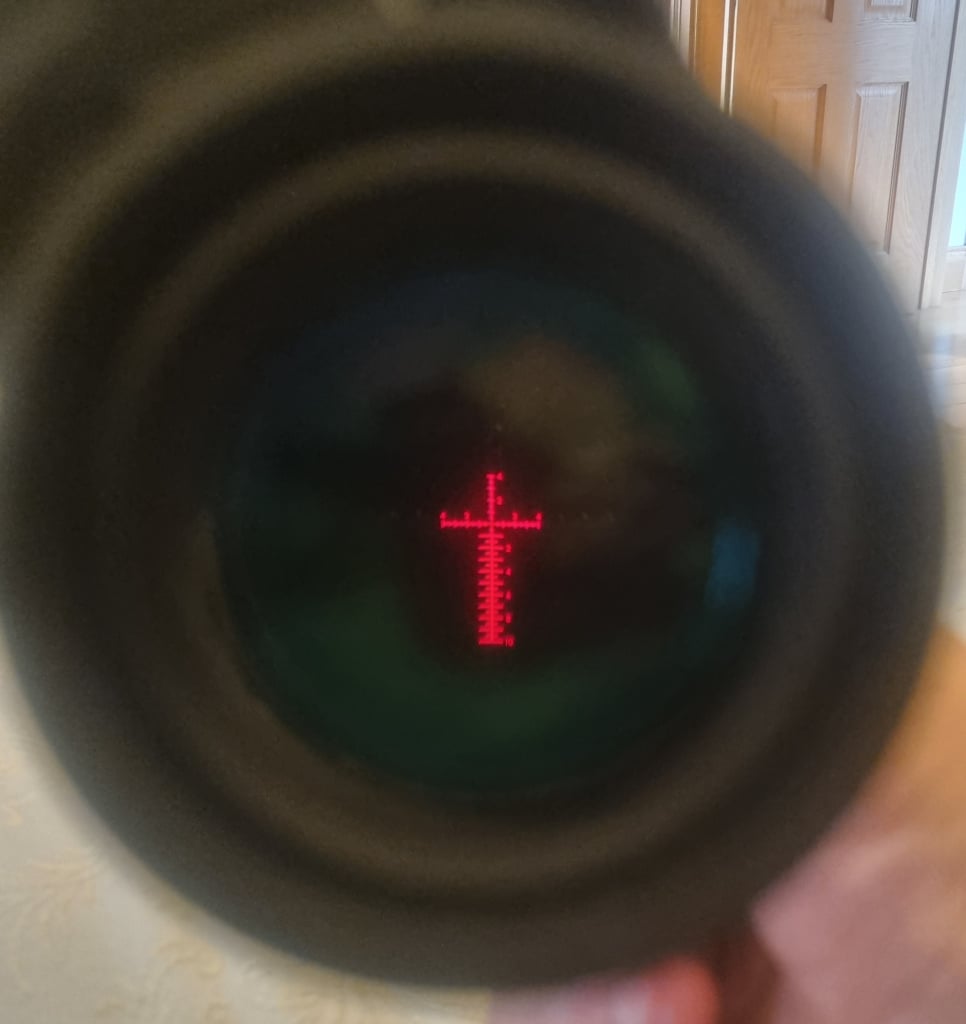 1000108923.jpg