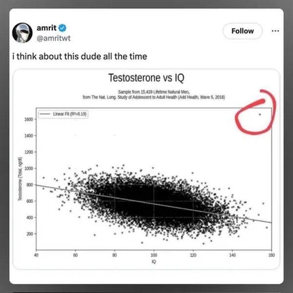 tiq.jpg