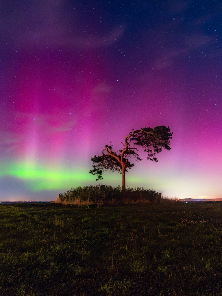 2024-09-13 Fairy Tree aurora vertical 2 soft focus 13 September 2024.jpg