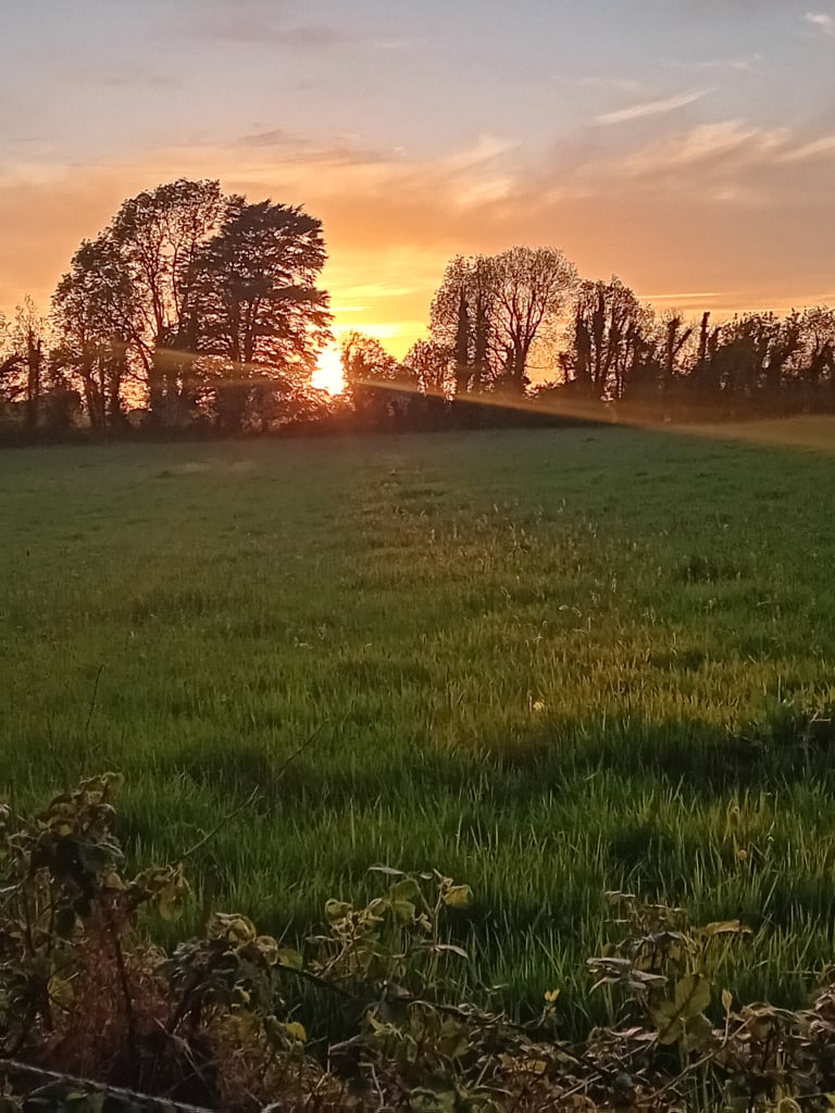 1000019510.jpg