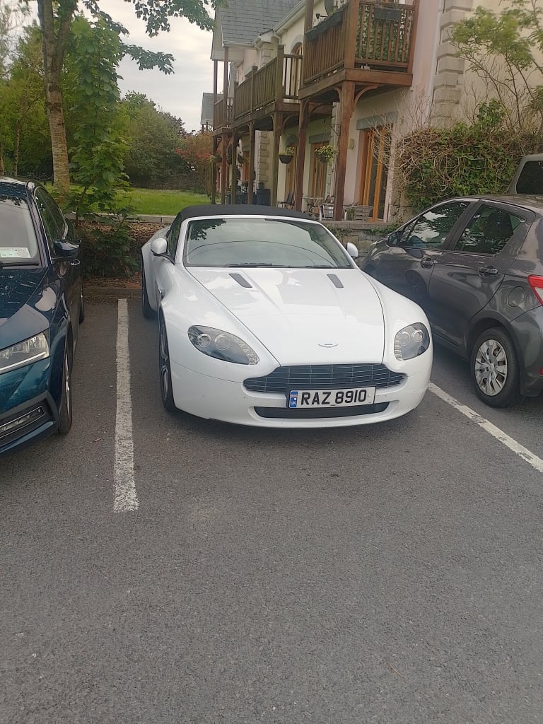 1000011095.jpg