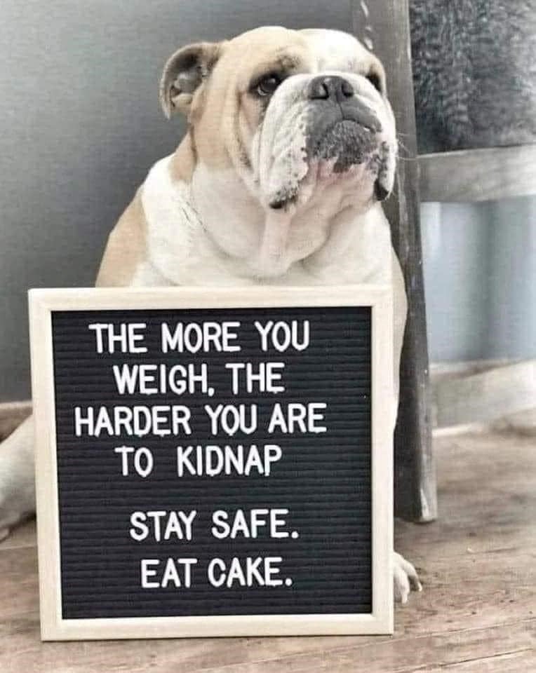 more-weigh-harder-are-kidnap-stay-safe-eat-cake.jpeg