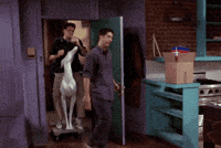 33085.gif