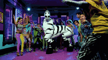 IMG_2255.gif