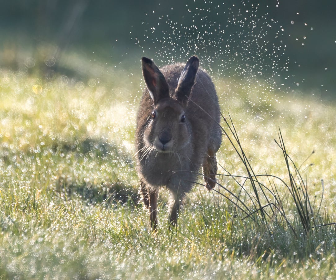 rsz_untitled-16 (34).jpg