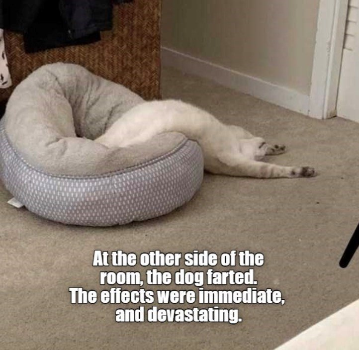 at-other-side-room-dog-farted-effects-were-immediate-and-devastating.jpeg
