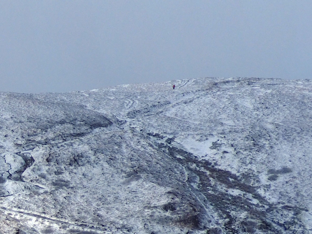 SNow pan hill walker.jpg