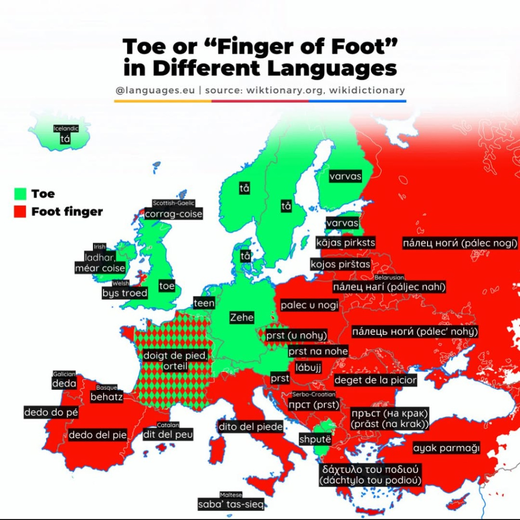 toe-finger-foot.jpg
