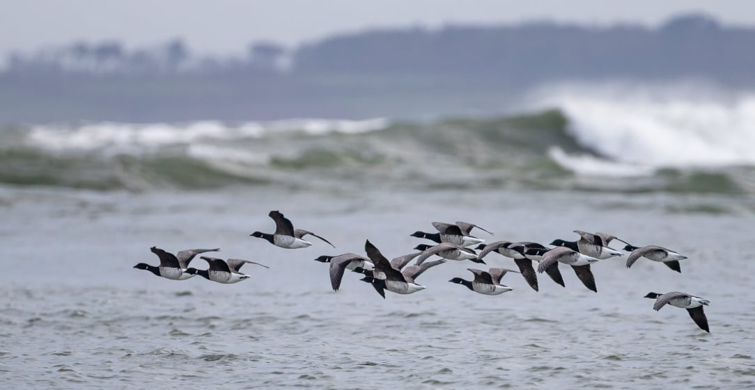 rsz_untitled (51).jpg