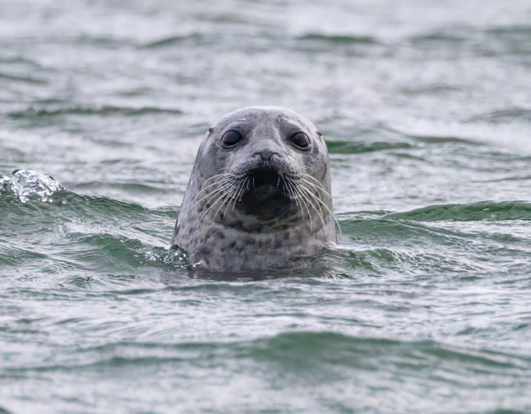 rsz_untitled-14 (51).jpg