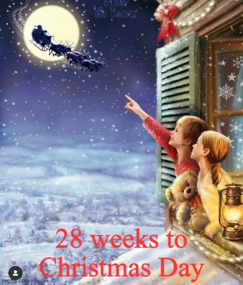 28 weeks.jpg