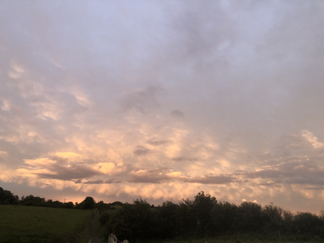 IMG_1010.jpeg