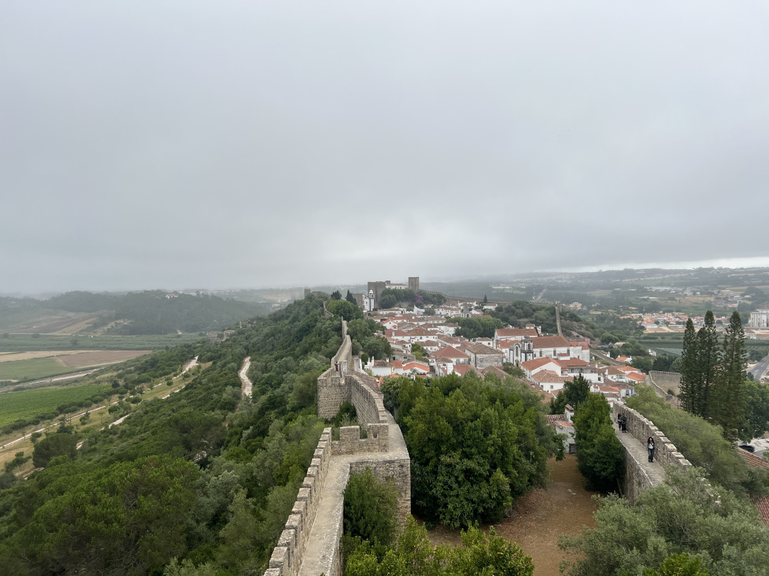 IMG_4424.jpeg