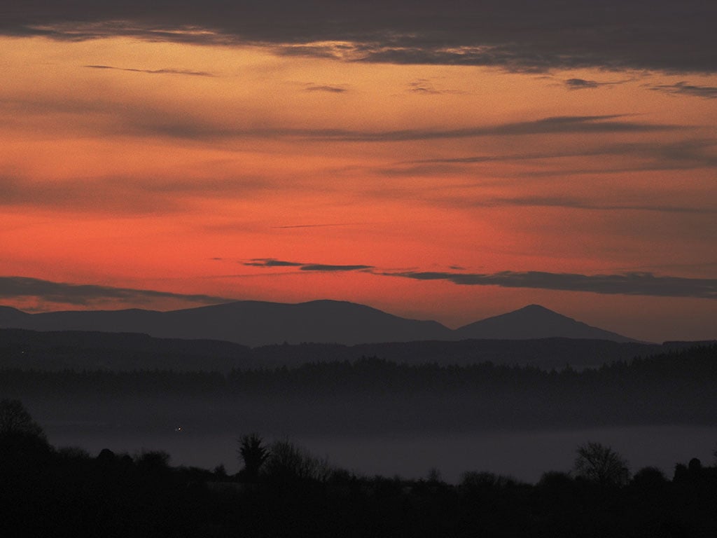 Galtee's on a frosty -2 1024 _B214772.jpg