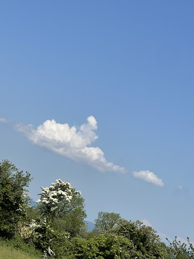 IMG_4602.jpeg