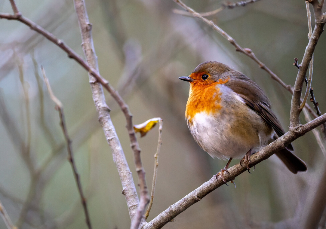 rsz_untitled-6 (48).jpg