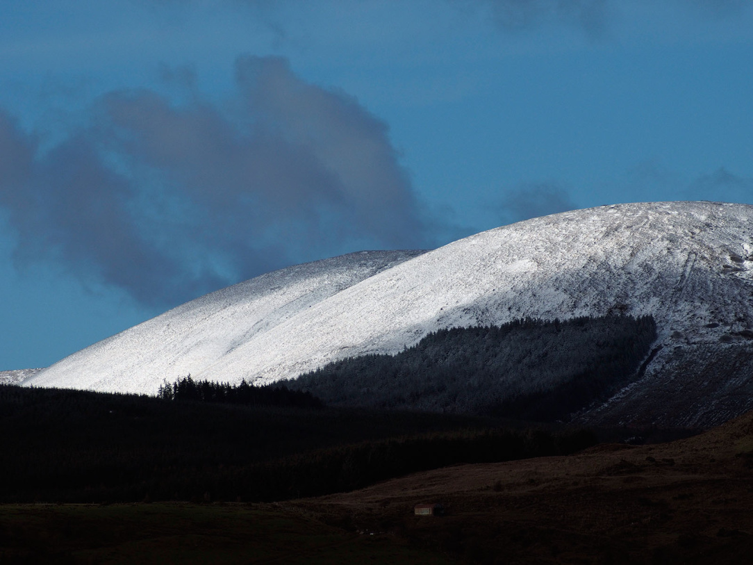 SNow on hill _2135537.jpg